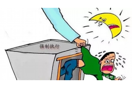 淅川债务清欠服务